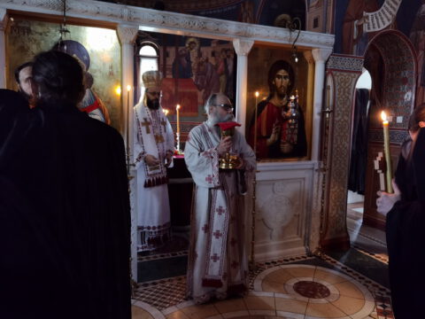 IMG_20221121_094758_resize