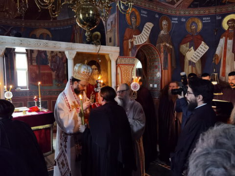 IMG_20221121_094823_resize