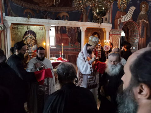 IMG_20221121_094858_resize