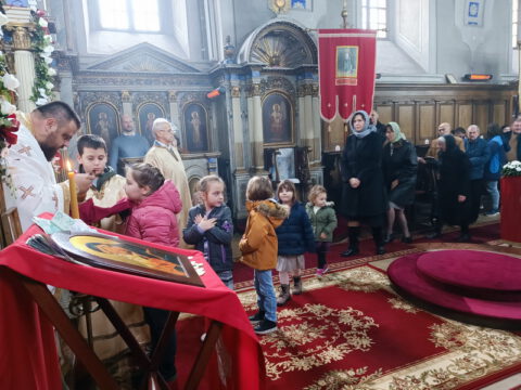 IMG_20221121_095108_resize