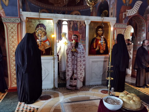 IMG_20221121_095648_resize