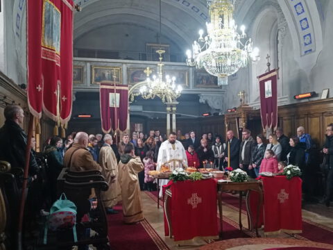 IMG_20221121_095855_resize