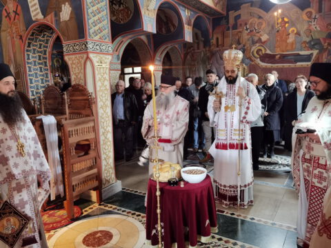 IMG_20221121_100006_resize