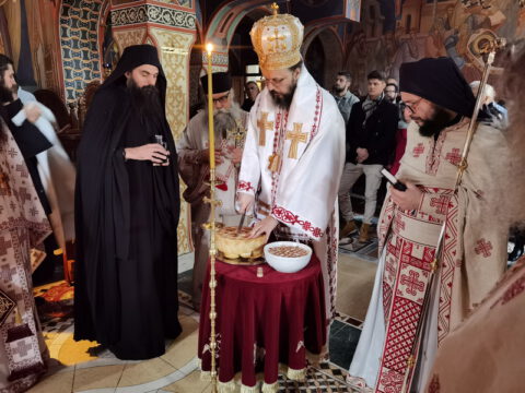 IMG_20221121_100244_resize