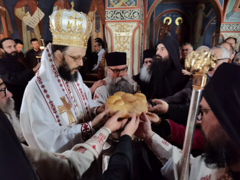 IMG_20221121_100328_resize