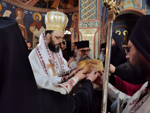 IMG_20221121_100346_resize