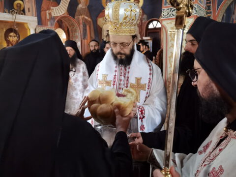 IMG_20221121_100437_resize