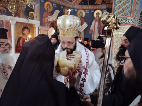 IMG_20221121_100440_resize