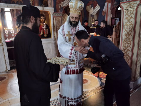 IMG_20221121_101124_resize