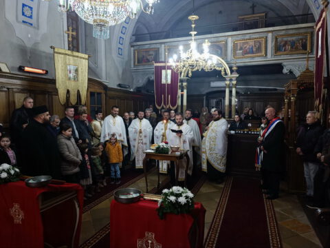 IMG_20221121_172946_resize