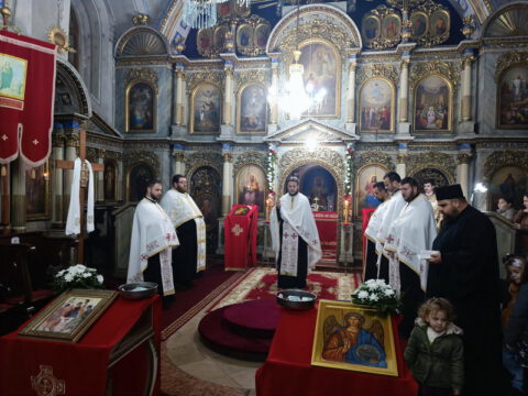 IMG_20221121_173728_resize