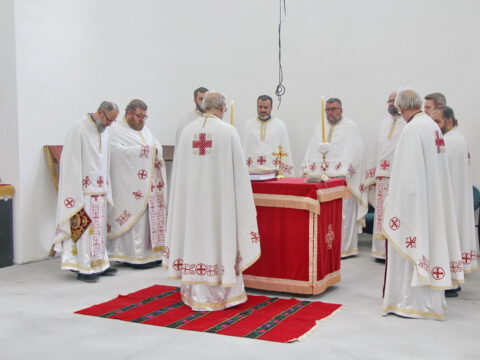 IMG_7576_resize_resize