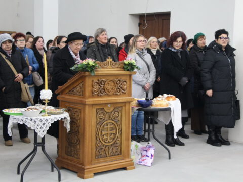 IMG_7584_resize_resize