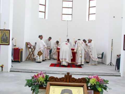 IMG_7593_resize_resize