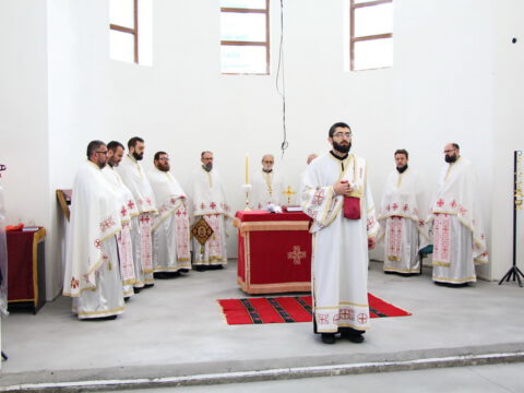 IMG_7620_resize_resize