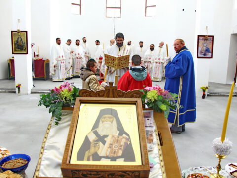 IMG_7625_resize_resize