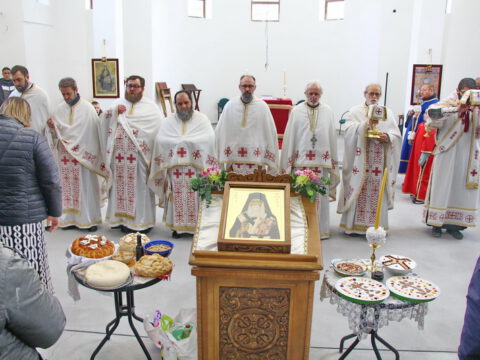 IMG_7641_resize_resize