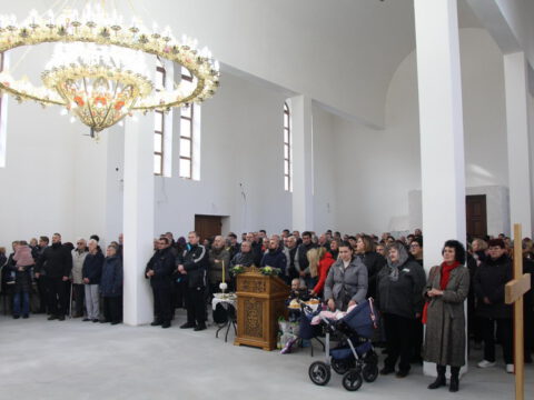 IMG_7676_resize_resize