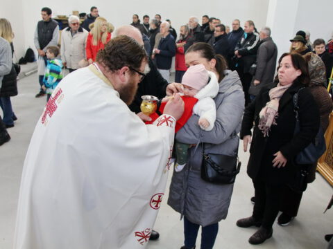 IMG_7678_resize_resize