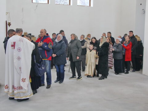 IMG_7684_resize_resize