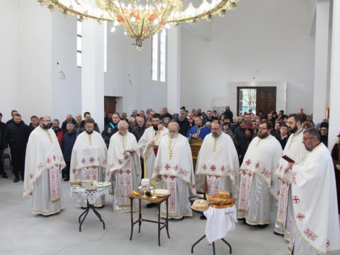 IMG_7697_resize_resize