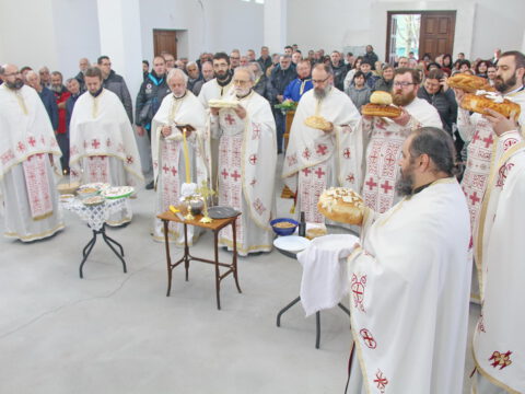 IMG_7700_resize_resize