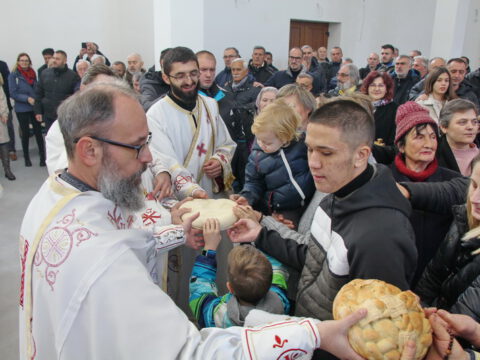 IMG_7704_resize_resize