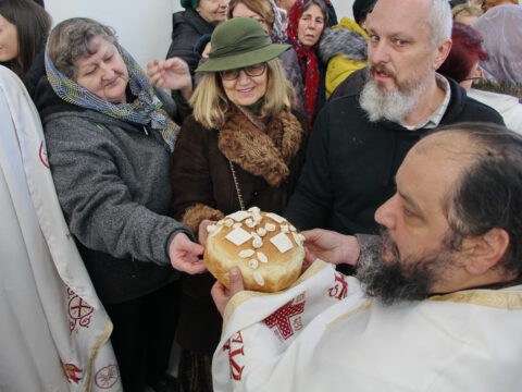 IMG_7707_resize_resize