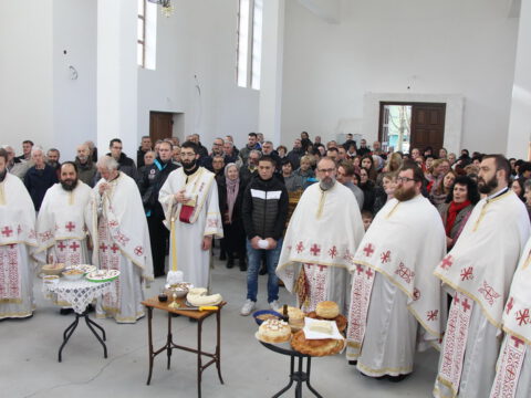 IMG_7717_resize_resize