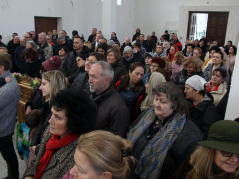 IMG_7726_resize_resize