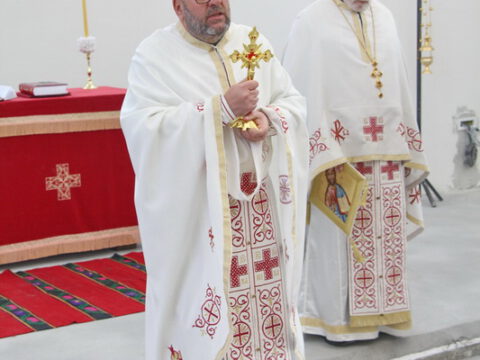 IMG_7729_resize_resize