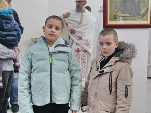 IMG_7734_resize_resize