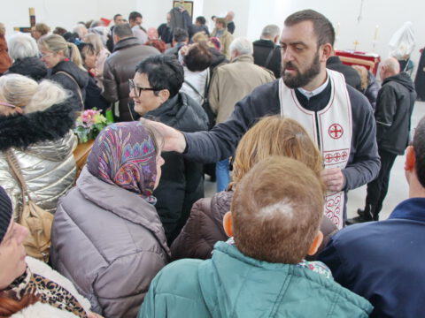 IMG_7754_resize_resize