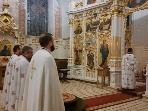 viber_image_2022-11-26_17-10-09-790_resize