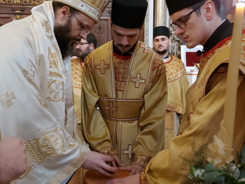 20221217_094909_resize