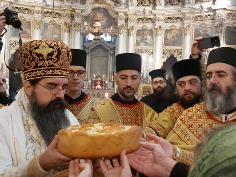 20221217_094948_resize