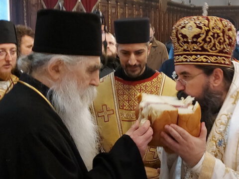 20221217_095104_resize