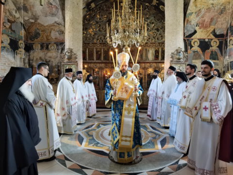 IMG_20221204_084616_resize