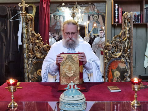 IMG_20221204_084756_resize