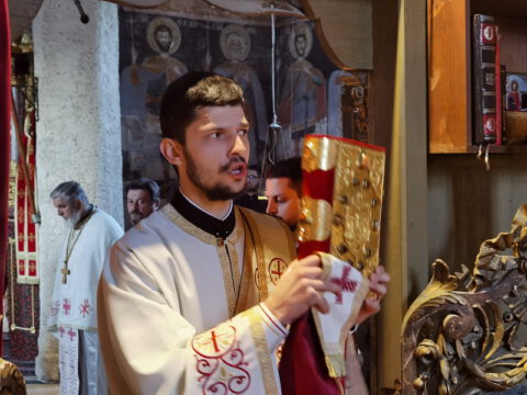 IMG_20221204_090509_resize