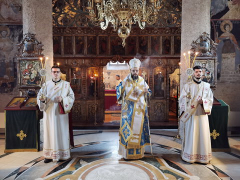 IMG_20221204_090734_resize