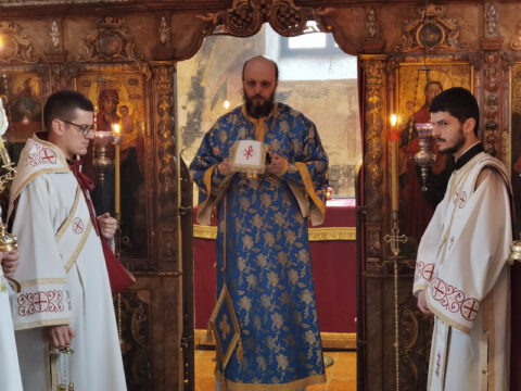 IMG_20221204_095944_resize