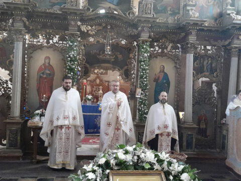 IMG_20221204_102548_resize