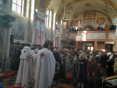 IMG_20221204_102550_resize