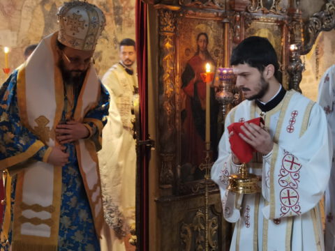 IMG_20221204_103609_resize