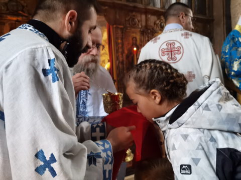 IMG_20221204_103719_resize