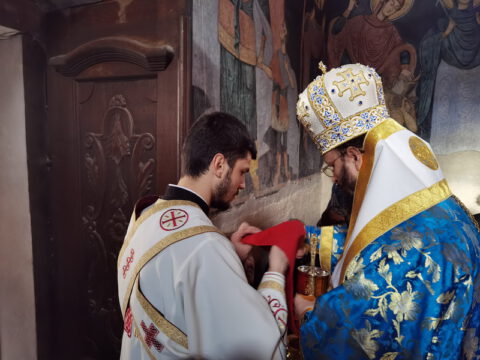 IMG_20221204_104613_resize