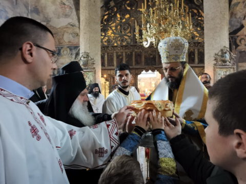 IMG_20221204_105853_resize