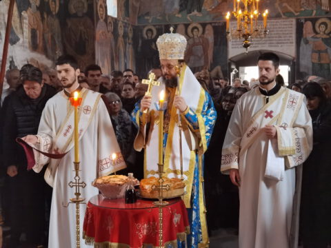 IMG_20221204_110057_resize