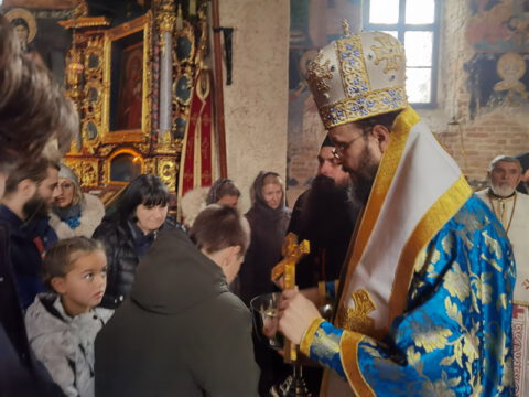 IMG_20221204_110803_resize